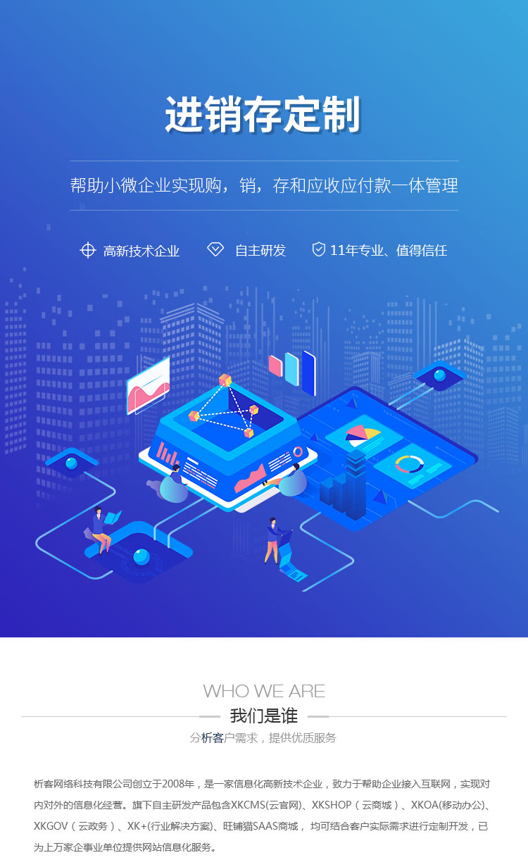 进销存系统开发：企业高效管理的新引擎